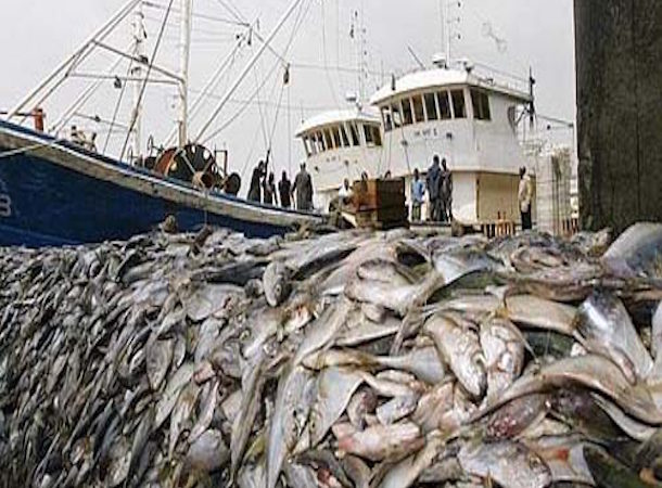 Surexploitation dans le secteur de la pêche : En Méditerranée et en mer Noire la tendance s’inverse