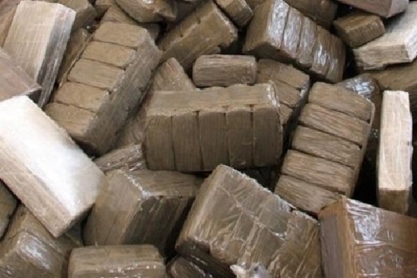 Flux de drogue vers son pays : le premier ministre algérien pointe un doigt accusateur sur le Maroc