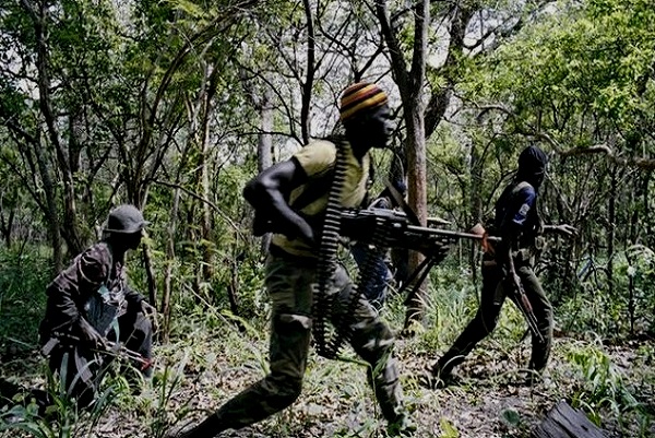 Grand Dossier-40 ans de rébellion en Casamance :  L’espoir d’une paix véritable renaît