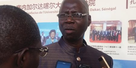Célébration du Nouvel an chinois :   Culture sénégalaise et chinoise en symbiose