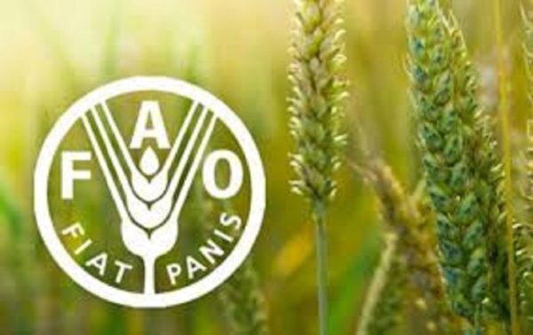 Intervention face à la sécheresse : Plan d’action de la FAO
