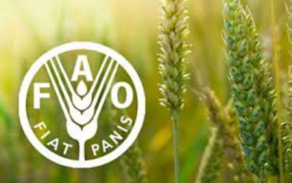 ODD : un rapport de la FAO sur les indicateurs relatifs à l’alimentation et à l’agriculture souligne une stagnation