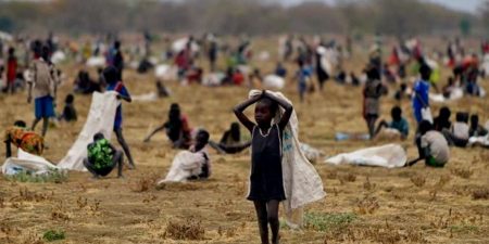 Alerte Fao Sur le Soudan : La production céréalière en baisse de plus de 40 pour cent, ce qui risque d’exacerber la faim