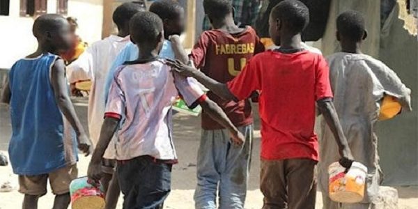 Lettre Ouverte Aux Vaillants Petits Talibés Du Sénégal