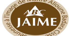 Sortie sans ambages du Médiateur : Les jeunes boucliers de Me Alioune Badara Cissé précisent et recadrent le débat