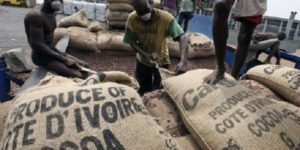 MENACES SUR L’ÉCOSYSTÈME :  Disparition de 64 % des zones humides en un siècle