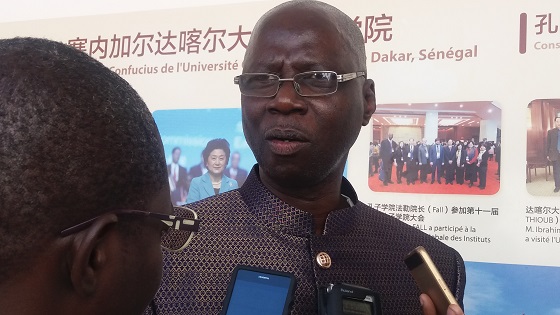 Célébration du Nouvel an chinois :   Culture sénégalaise et chinoise en symbiose