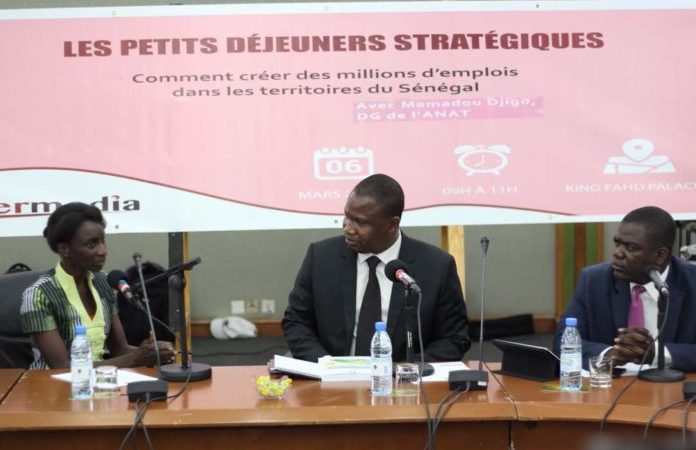 Mamadou Djigo, DG de l’ANAT : « Il faut mettre en place une zone industrielle artisanale qui va faire de l’exploitation des peaux à Touba »