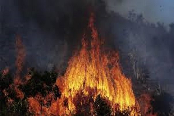 Violent feu de brousse au Ranch de Dolly : 15 hectares du tapis herbacé partis en fumée