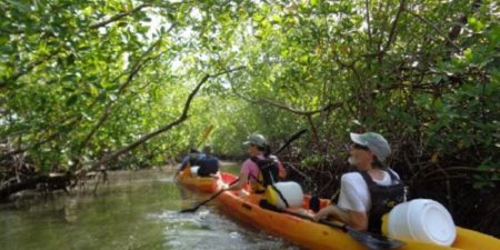 Sénégal : A la découverte de Eloubaline, un village aux multiples charmes