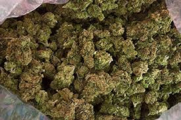 Etats-Unis ; deux magasins de marijuana du Massachusetts autorisés à s’ouvrir la semaine prochaine