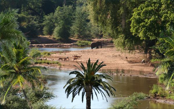 Accès au Fonds Vert Climat :  Les élus locaux et la société civile en renforcement de capacités