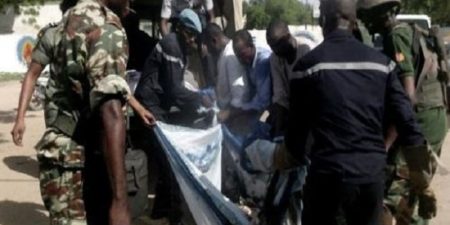 Cameroun : Boko Haram fait quatorze morts dans une attaque au nord du pays