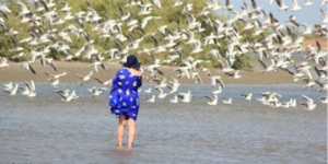 Le Sénégal doit davantage capter les immenses ressources du tourisme de croisière- Mamadou Diallo ASPT