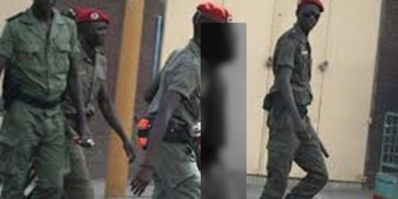 Guédiawaye : un homme appréhendé avec un sac rempli de viande de chien, échappe à la mort