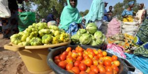 Un des grands objectifs de la FAO: Des aliments sains pour tous grâce au développement agricole durable