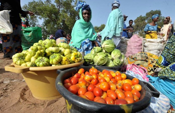 Systèmes alimentaires : la biodiversité, si cruciale l’alimentation et l’agriculture, disparaît de jour en jour, selon le tout premier rapport mondial de la FAO sur ce sujet