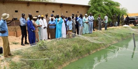 Aquaculture à Gaya, Richard Toll, Podor :  Le gouvernement compte porter à 50.000 tonnes la production aquacole du Sénégal en 2023