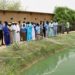 Aquaculture à Gaya, Richard Toll, Podor :  Le gouvernement compte porter à 50.000 tonnes la production aquacole du Sénégal en 2023