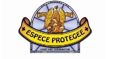 Togo : les espèces protégées du parc de Fazao sous menace d’extinction