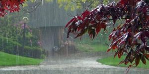 Phénomènes climatiques atypiques-Pluies hors-saison : explications et impacts d’un phénomène inhabituel