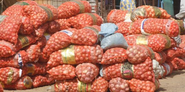 Certains gros producteurs et  commerçants au banc des accusés : les Producteurs d »Oignons à Potou s’insurgent contre la rétention de l’oignon