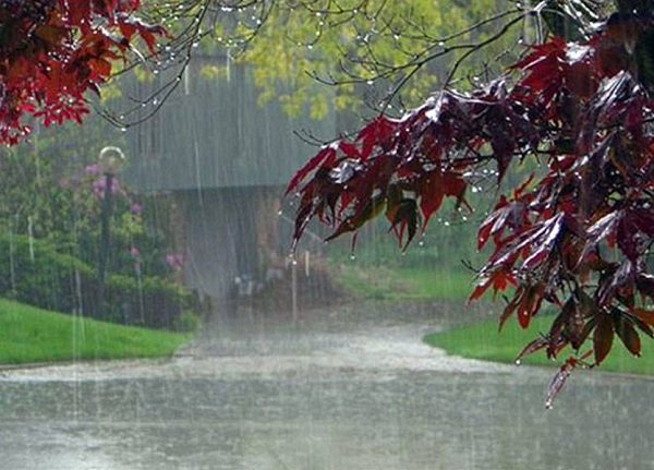 Hivernage 2018: Ouf! c’est reparti Dakar renoue avec les pluies