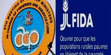 Populations rurales : 50 000 ménages tunisiens soutenus par le FIDA pour de meilleures conditions de vie