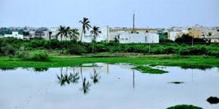 Pour sauver ce qui reste des zones Humides :  Des experts de 8 pays d’Afrique de l’Ouest en conclave à Dakar