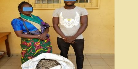 Togo : deux trafiquants arrêtés à Lomé pour le commerce de 37 kilogrammes d’écailles de pangolin
