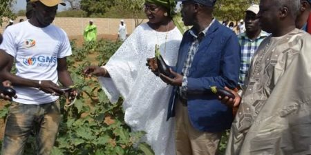 Ferme « Natangué » de Pout : 4 hectares mis à la disposition des jeunes