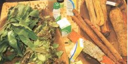 La gestion de la pandémie en Afrique : faut croire  en nous et nous approprier les vertus des plantes médicinales