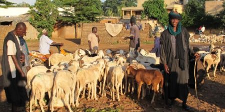 Mali : un rapport de l’ONU attendu après l’assassinat de 37 peuls au centre du pays