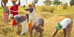 Clôture la Conférence de la FAO : l’alimentation et l’agriculture ont un rôle primordial à jouer pour parvenir à un avenir durable, selon José Graziano da Silva