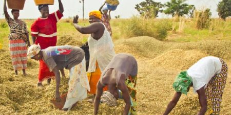 Climat : 2024, année la plus chaude jamais enregistrée, une menace croissante pour les travailleurs exposés à la chaleur alerte la FAO