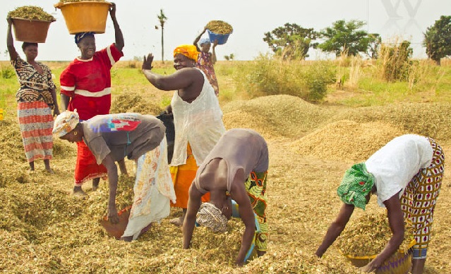 Agriculture-Tendances de la production : Les premières prévisions de la production mondiale 2019 de céréales positives