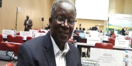 La Convergence des Ecologistes du Sénégal : un parti écologiste fort au Sénégal, une histoire qui bégaie