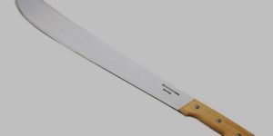 Vers la République du sabre