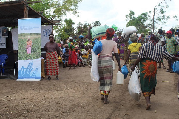 Mozambique : la FAO a démarré la distribution de semences et d’outils indispensables dans ce pays très touché par le cyclone Idai