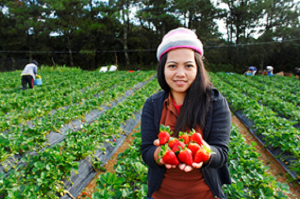 Alimentation et agriculture : Ce qui doit être fait pour renverser la tendance selon le nouveau rapport sur les Objectifs de développement durable