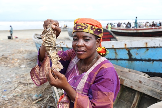 Mozambique : Investir dans l’économie bleue pour accélérer le développement durable en Afrique