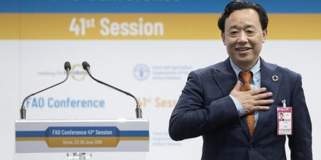 FAO : le nouveau Directeur Général décline ses priorités et actions ciblées