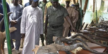 ABDOU KARIM SALL AUX AGRESSEURS DU PARC NIOKOLO KOBA :  « Nous allons les faire la guerre »