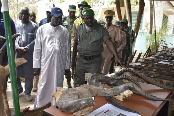 ABDOU KARIM SALL AUX AGRESSEURS DU PARC NIOKOLO KOBA :  « Nous allons les faire la guerre »