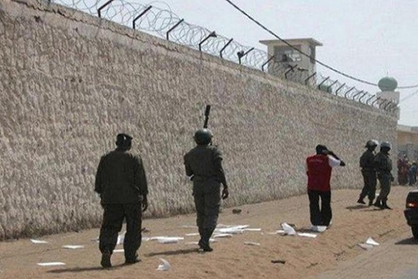 Décès de deux detenus à Rebeuss : Seydi Gassama d’Amnesty International soupçonne des non-dits dans cette affaire