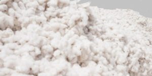 Journée mondiale du coton : La durabilité de la filière du coton est indispensable au développement rural