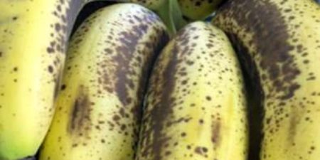 Alimentation-Santé : la FAO et ses partenaires intensifient leurs efforts visant à aider les pays à lutter contre une maladie affectant la banane