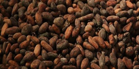 Nouveau rapport de la FAO : Le cacao, le café et le thé font grimper la facture des importations alimentaires mondiales pour les pays les plus riches