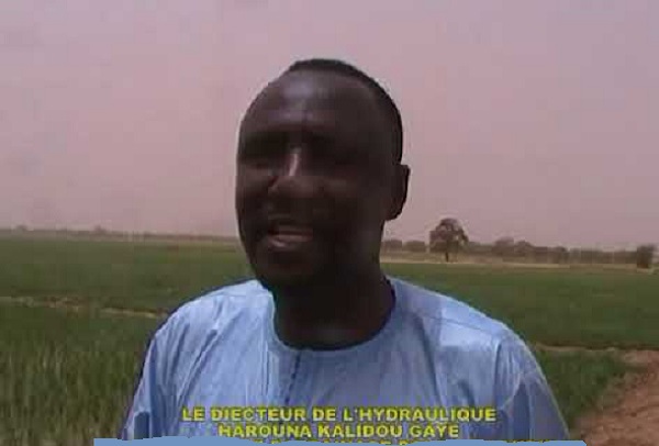 Sanction jugée arbitraire et sans fondement : une lettre Ouverte adressée à Harouna Kalidou Gaye  Directeur de l’Hydraulique