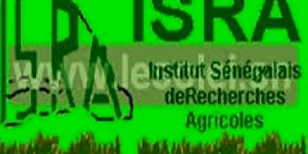 La fortification de l’ISRA : Une décision majeure du conseil des ministres du 14 août 2024 du président de la République – Post de Babacar Sene